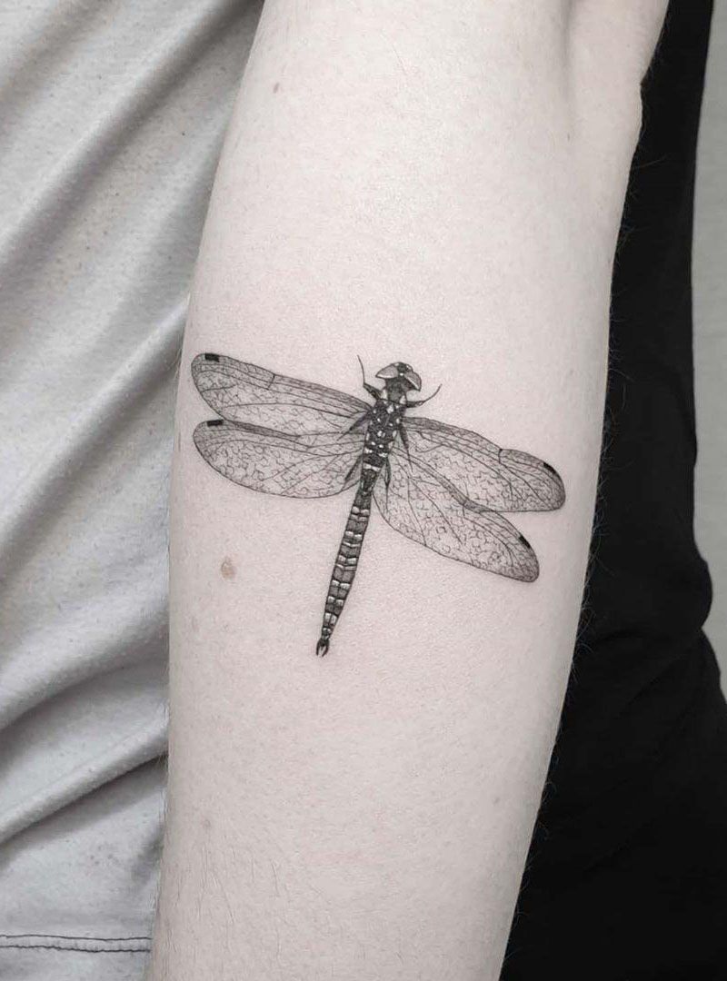 55 Pretty Dragonfly Tattoos Improve Your Temperament