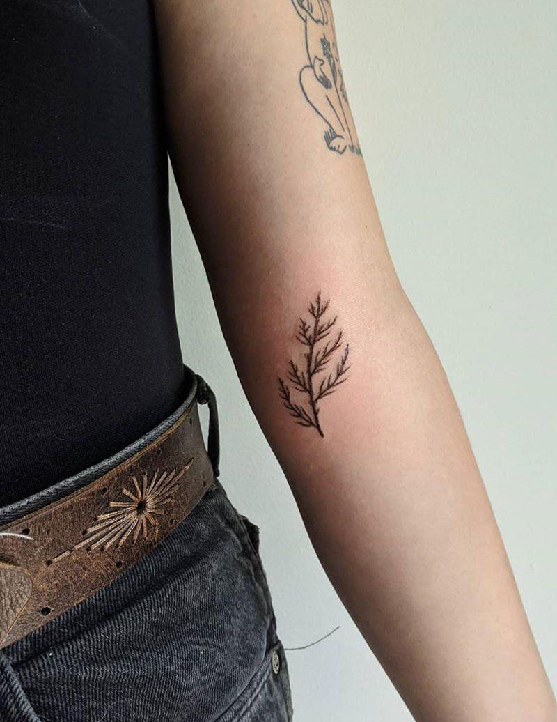 30 Pretty Cedar Tattoos to Inspire You