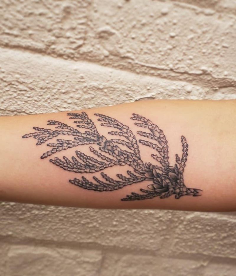 30 Pretty Cedar Tattoos to Inspire You