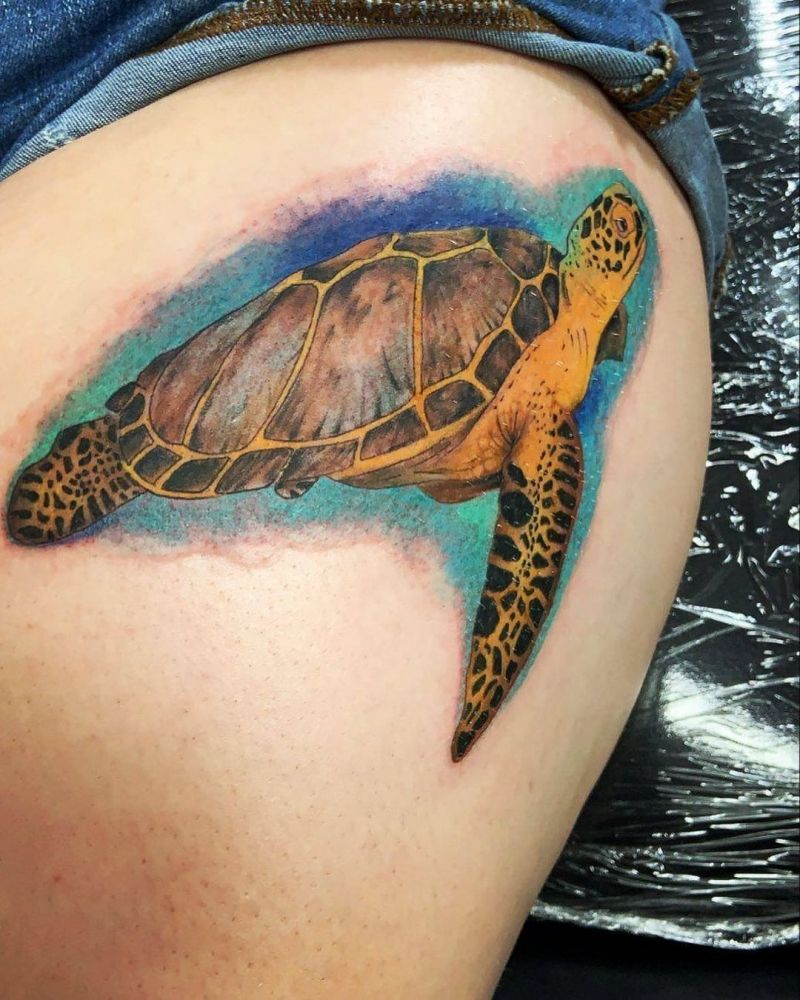30 Pretty Turtle Tattoos You Can Copy