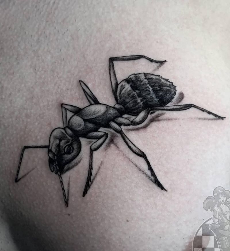 30 Pretty Ant Tattoos You Must Try