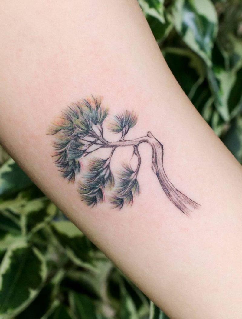 30 Pretty Pine Tree Tattoos to Inspire You