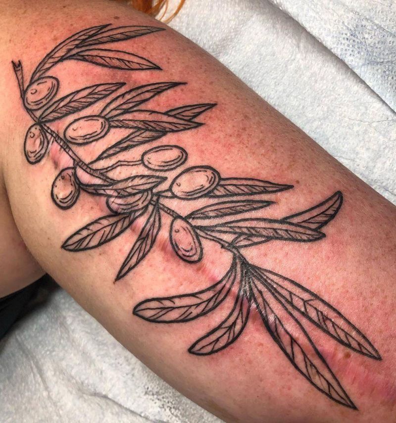 30 Elegant Olive Branch Tattoos You Need to Copy
