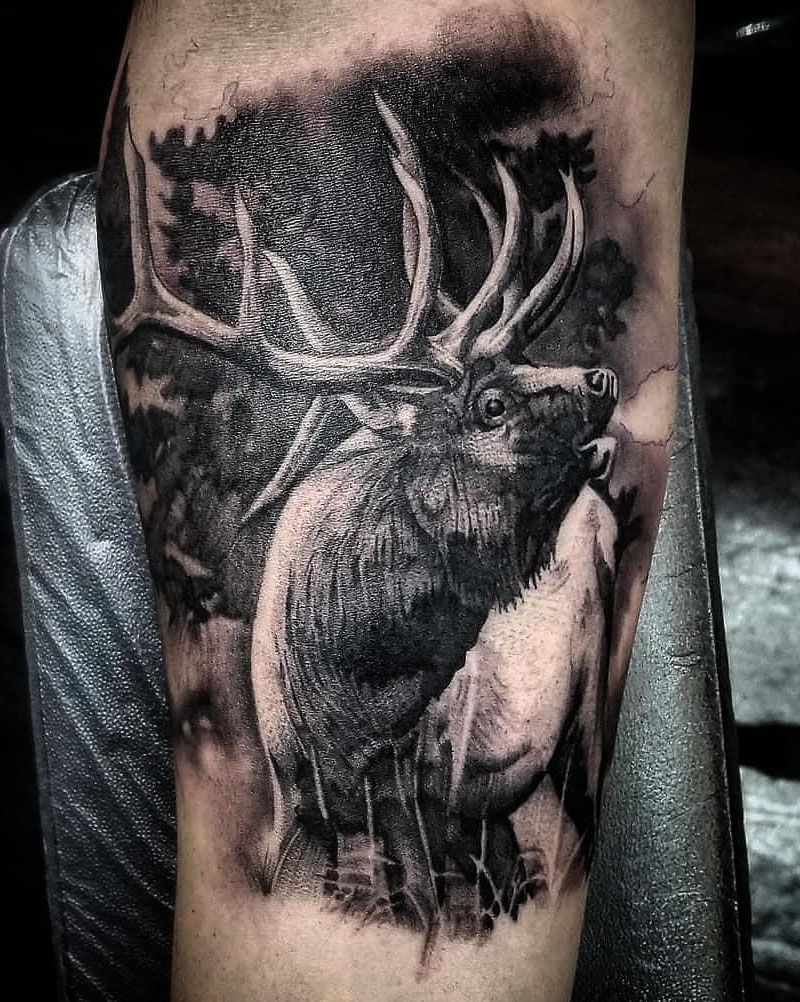 30 Gorgeous Elk Tattoos Make You Attractive