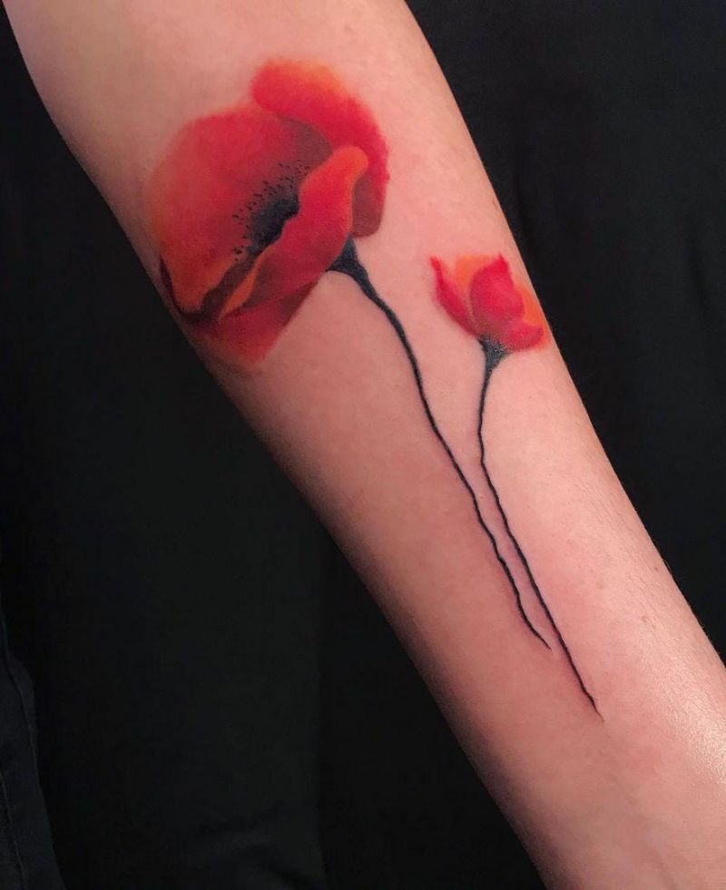 30 Elegant Poppy Tattoos You Can Copy