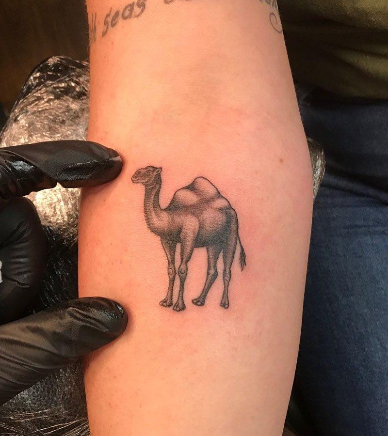 30 Beautiful Camel Tattoos You Can Copy