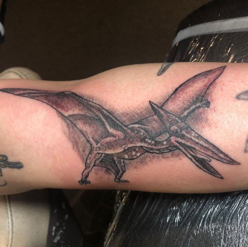 30 Gorgeous Pterodactyl Tattoos You Should Try