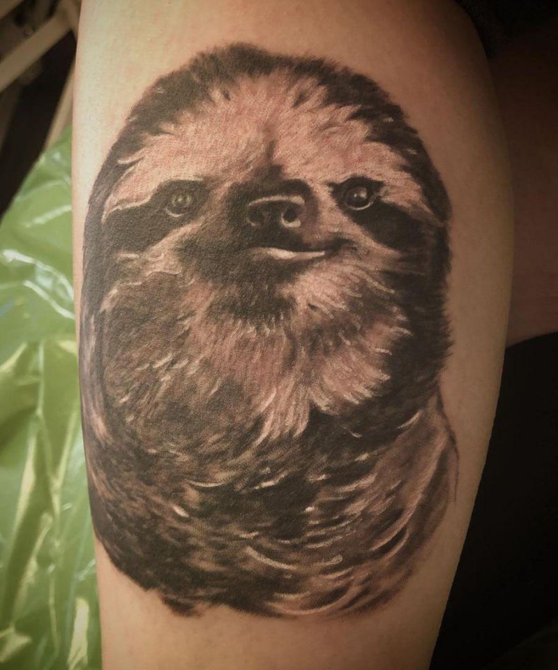30 Adorable Sloth Tattoos for Your Inspiration