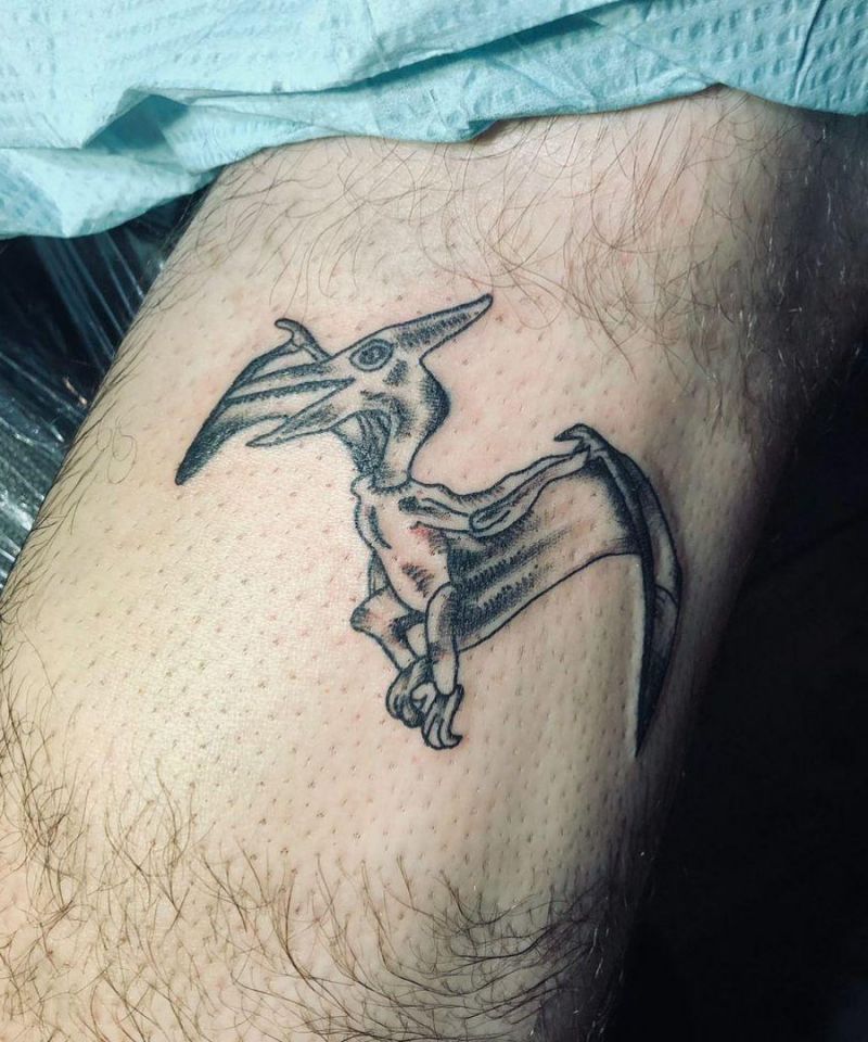 30 Gorgeous Pterodactyl Tattoos You Should Try