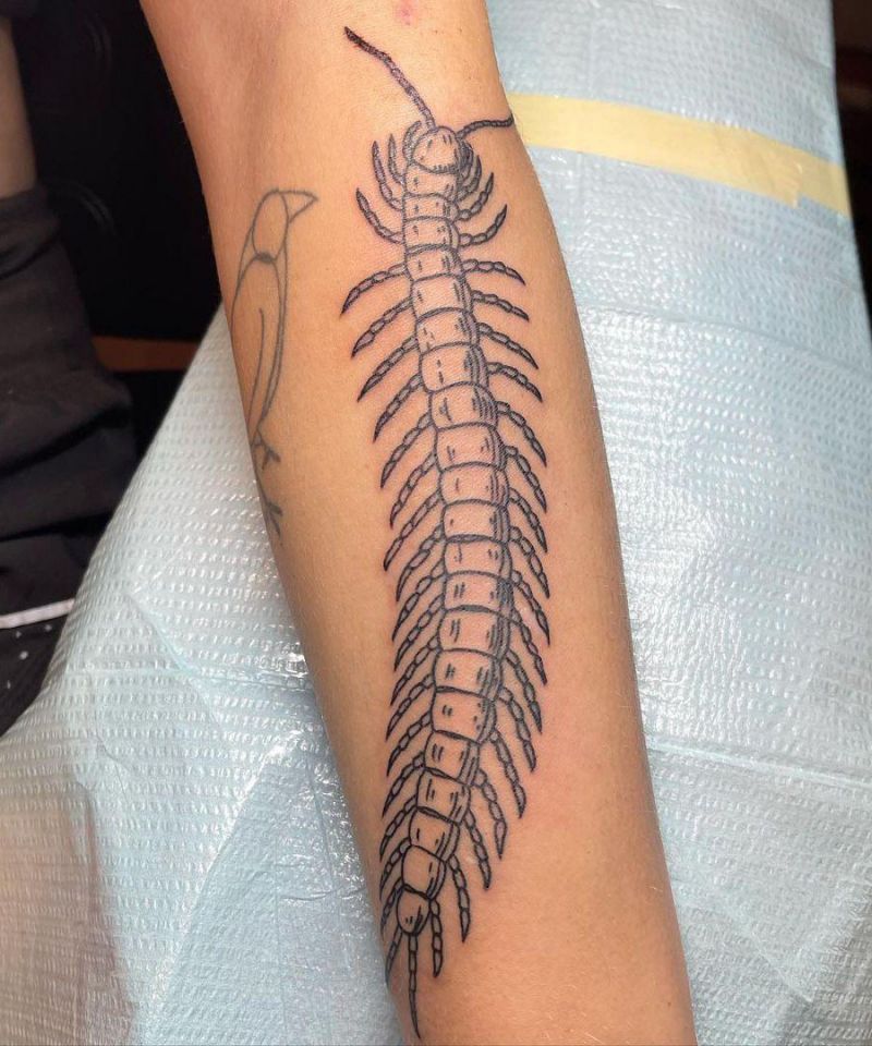 30 Gorgeous Centipede Tattoos For Your Next Ink