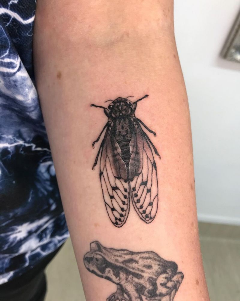30 Gorgeous Cicada Tattoos to Inspire You