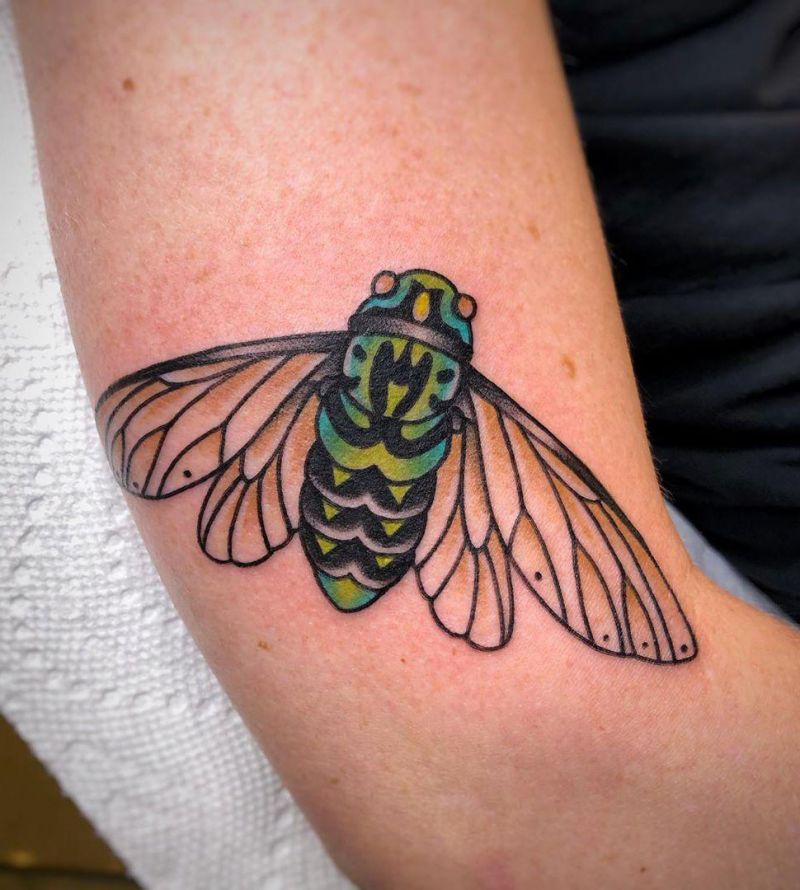 traditional cicada tattoo