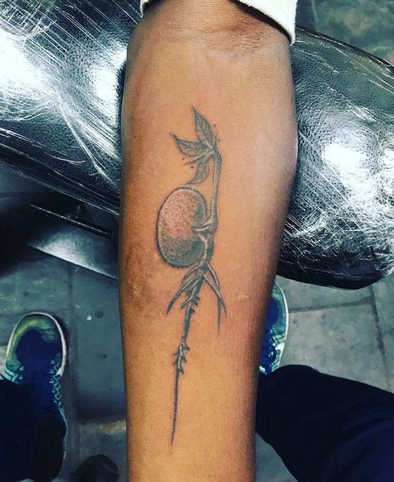 30 Great Seed Sprout Tattoos to Inspire You