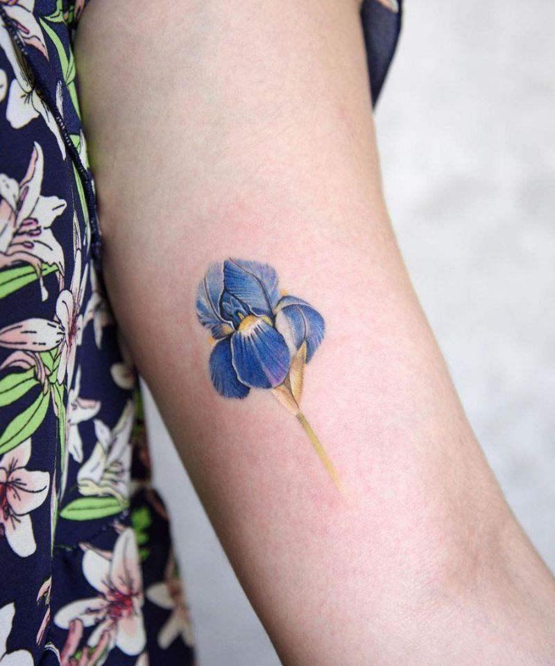 30 Unique Iris Tattoos Make You Attractive