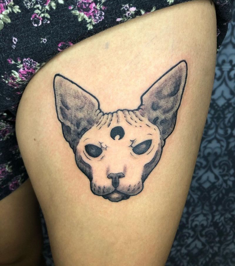30 Cool Sphinx Cat Tattoos You Must Love