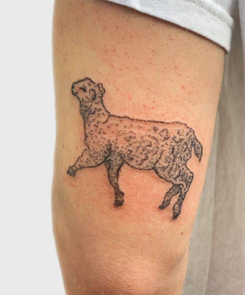 30 Unique Sheep Tattoos You Will Love