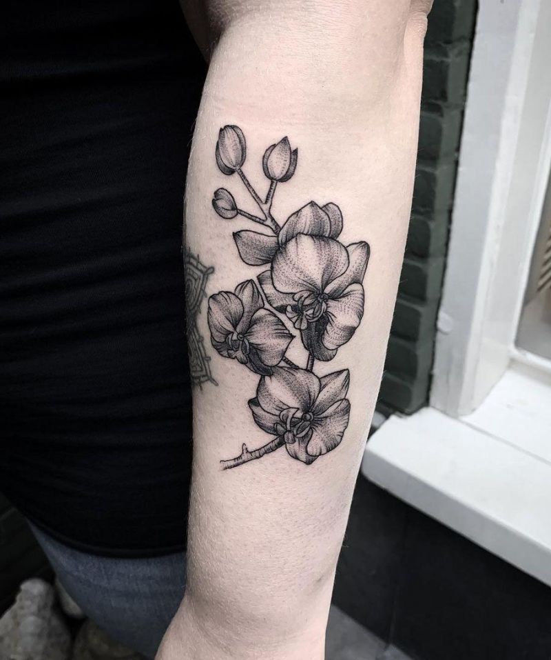 30 Elegant Orchid Tattoos to Inspire You