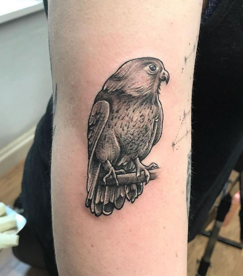 30 Great Kestrel Tattoos to Inspire You