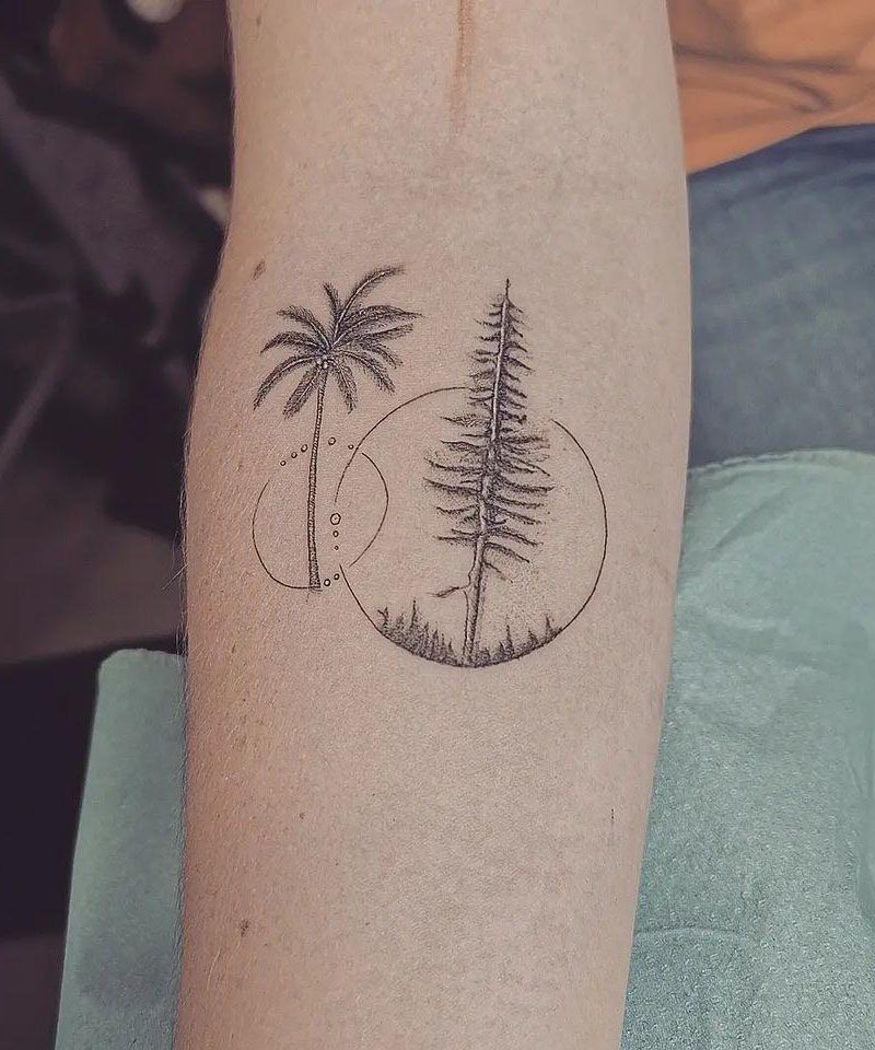 30 Elegant Fir Tree Tattoos You Must Love