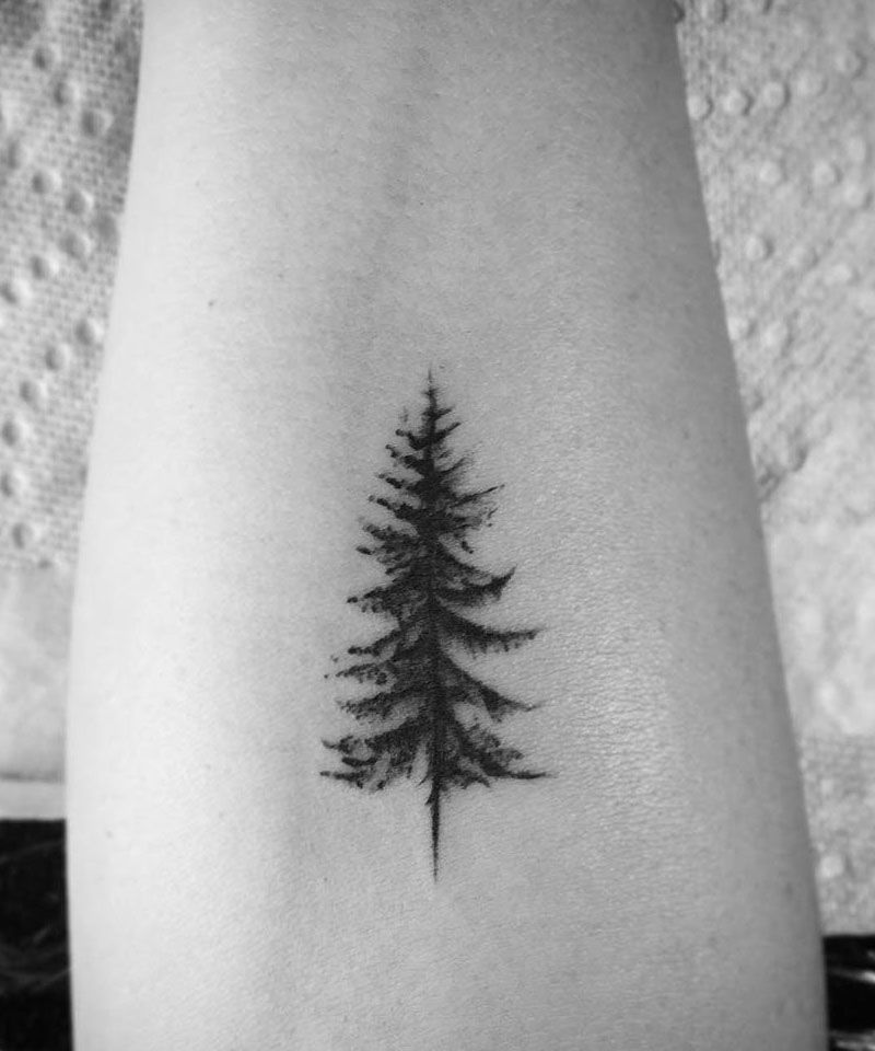 30 Elegant Fir Tree Tattoos You Must Love