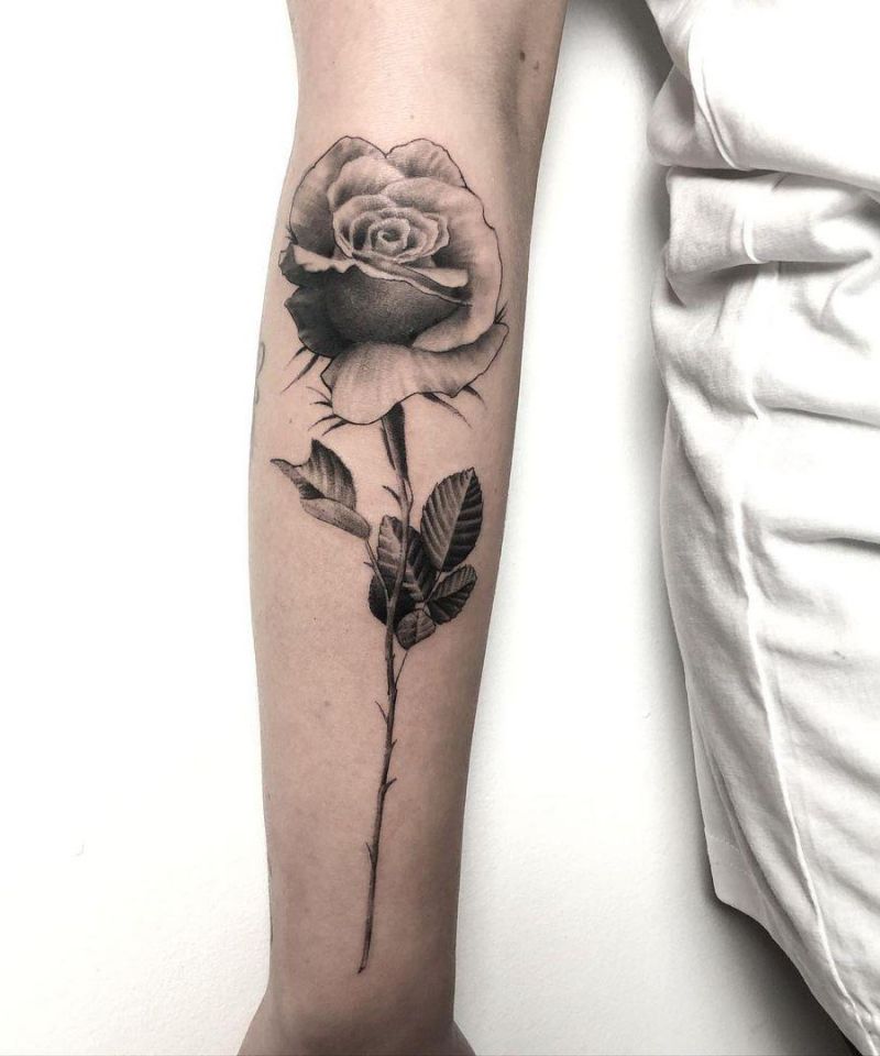 30 Unique Rose Tattoos You Can Copy