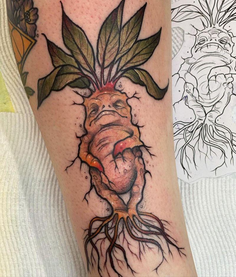 30 Unique Mandrake Tattoos Make You Attractive