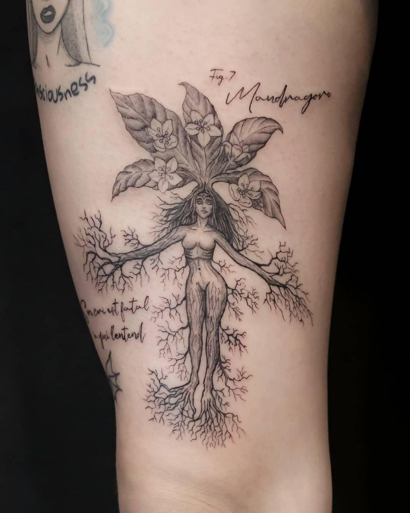 30 Unique Mandrake Tattoos Make You Attractive