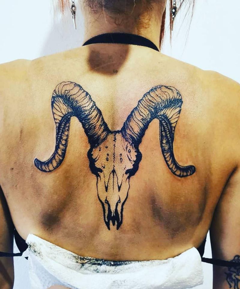 30 Unique Goat Skull Tattoos Make You Attractive