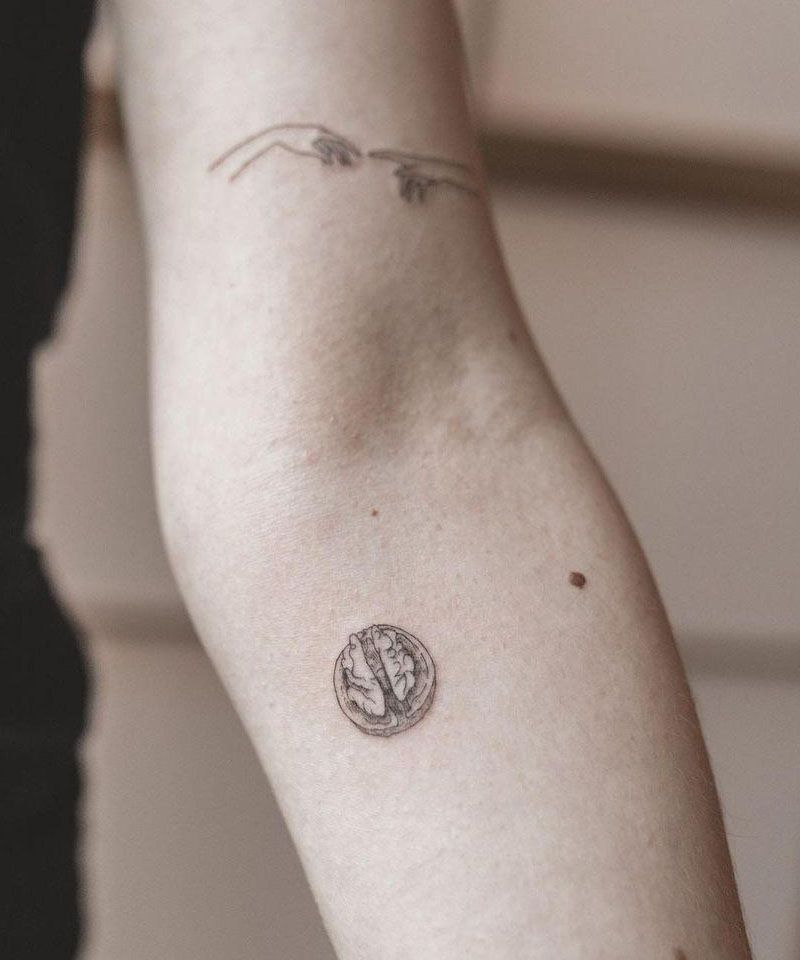 30 Unique Walnut Tattoos Make You Attractive