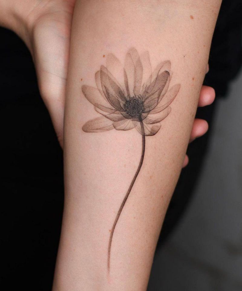 30 Elegant Water Lily Tattoos You Can Copy