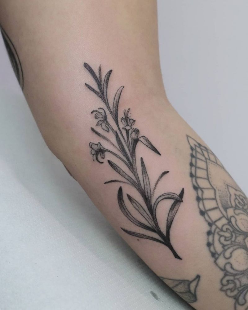 30 Elegant Rosemary Tattoos Make You Attractive