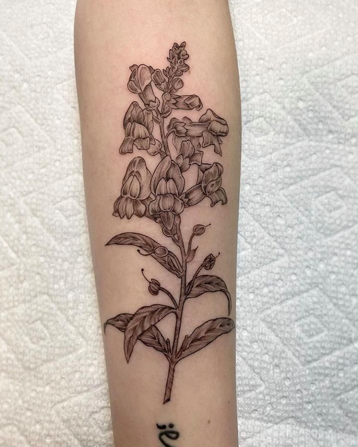 30 Elegant Snapdragon Tattoos You Will Love