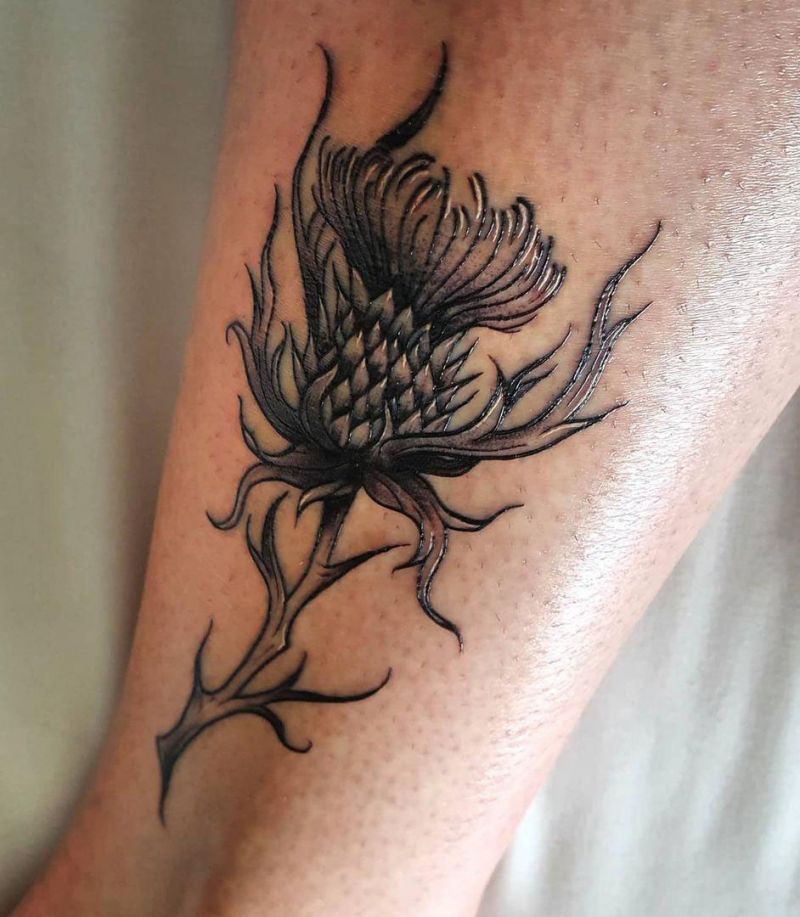 30 Elegant Thistle Tattoos for Your Inspiration