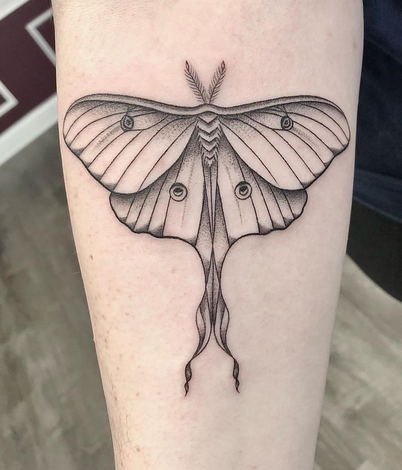 30 Elegant Luna Moth Tattoos You Will Love