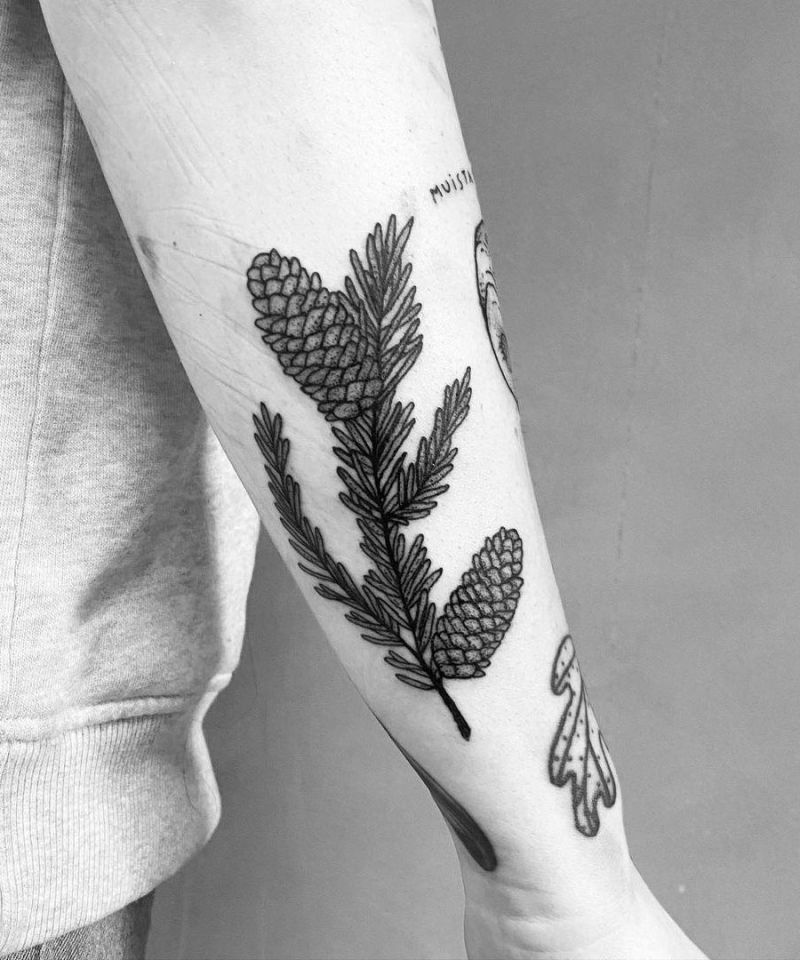 30 Pretty Spruce Tattoos Make You Attractive