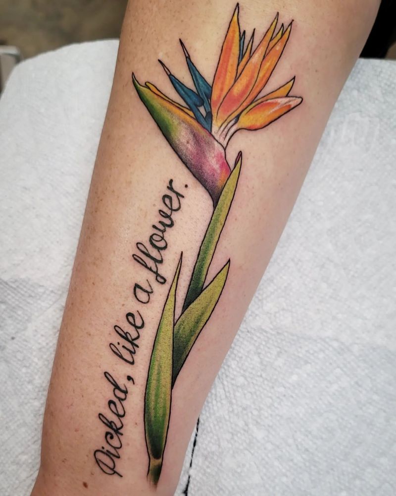 30 Great Bird of Paradise Tattoos You Can’t Miss