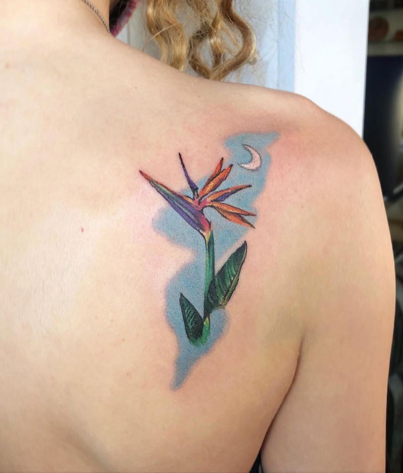 30 Great Bird of Paradise Tattoos You Can’t Miss