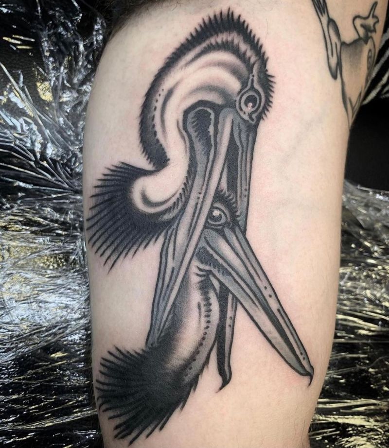 30 Gorgeous Pelican Tattoos You Must Love