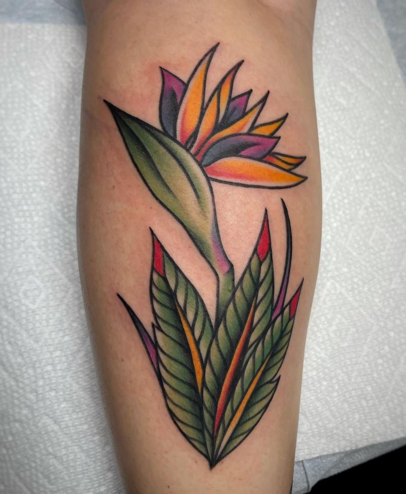 30 Great Bird of Paradise Tattoos You Can’t Miss