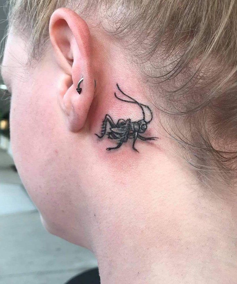 30 Unique Cricket Tattoos for Your Inspiration