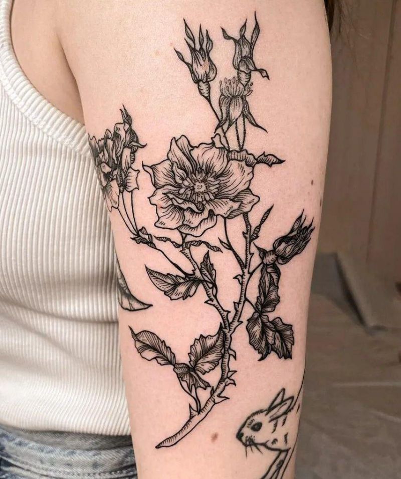 30 Unique Cherokee Rose Tattoos You Can Copy