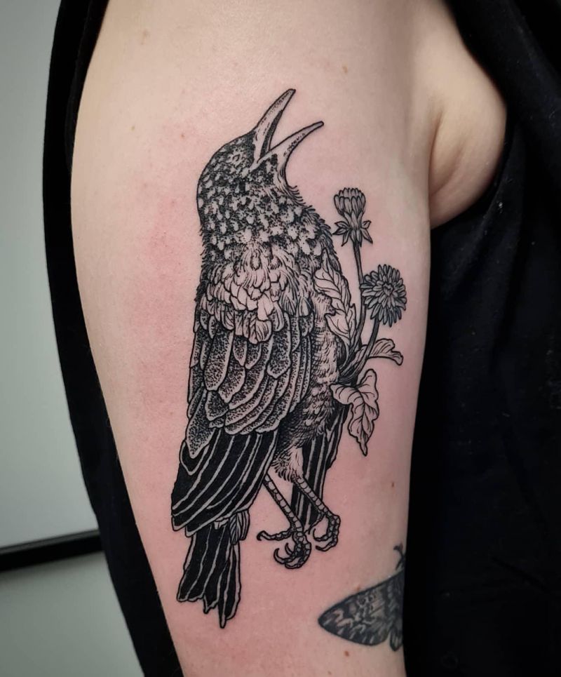 30 Unique Starling Tattoos for Your Inspiration