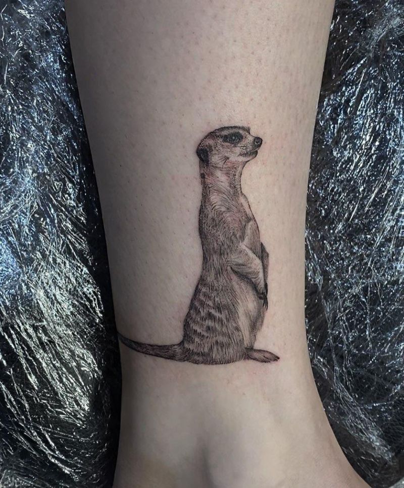 30 Cute Meerkat Tattoos Make You Attractive