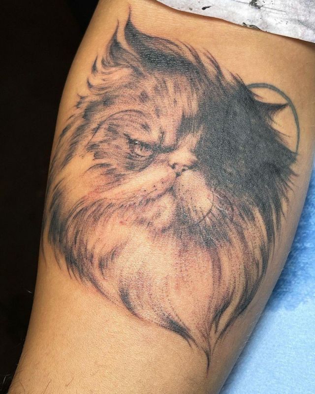 20 Unique Persian Cat Tattoos Make You Attractive