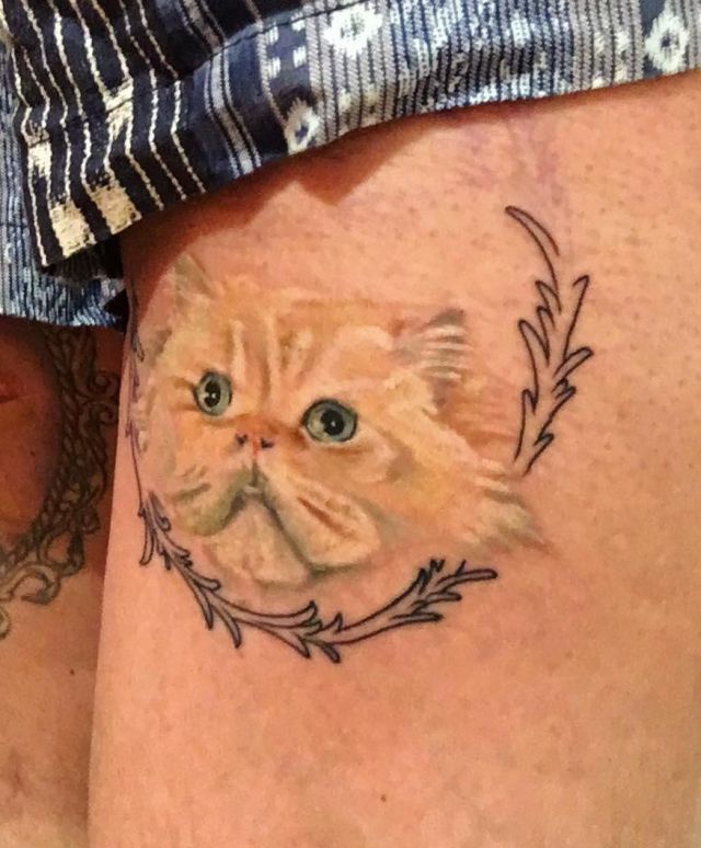 20 Unique Persian Cat Tattoos Make You Attractive