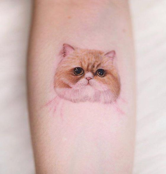 20 Unique Persian Cat Tattoos Make You Attractive