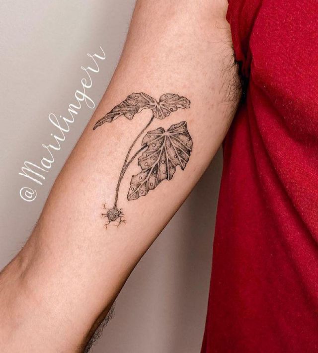 20 Pretty Begonia Tattoos Make You Charming