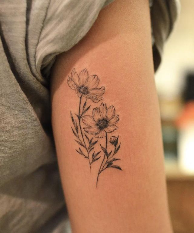 20 Elegant Cosmos Flower Tattoos Make You Charming