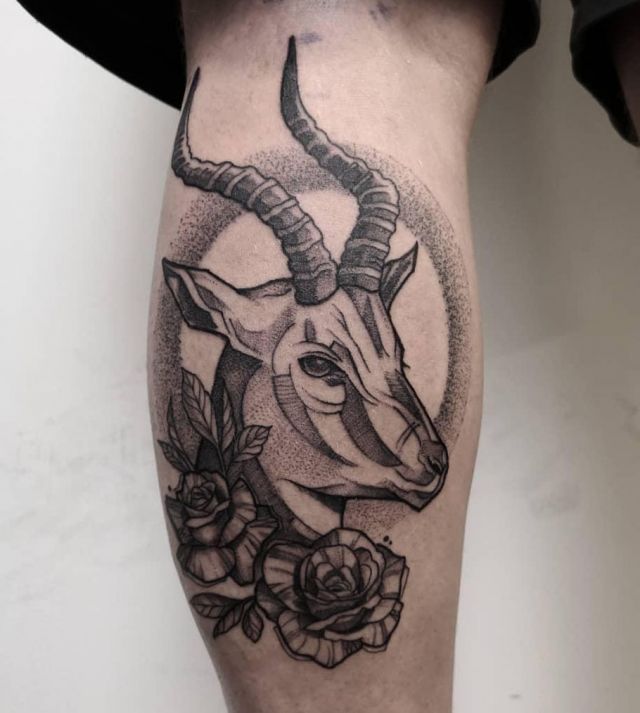 20 Unique Antelope Tattoos Make You Different