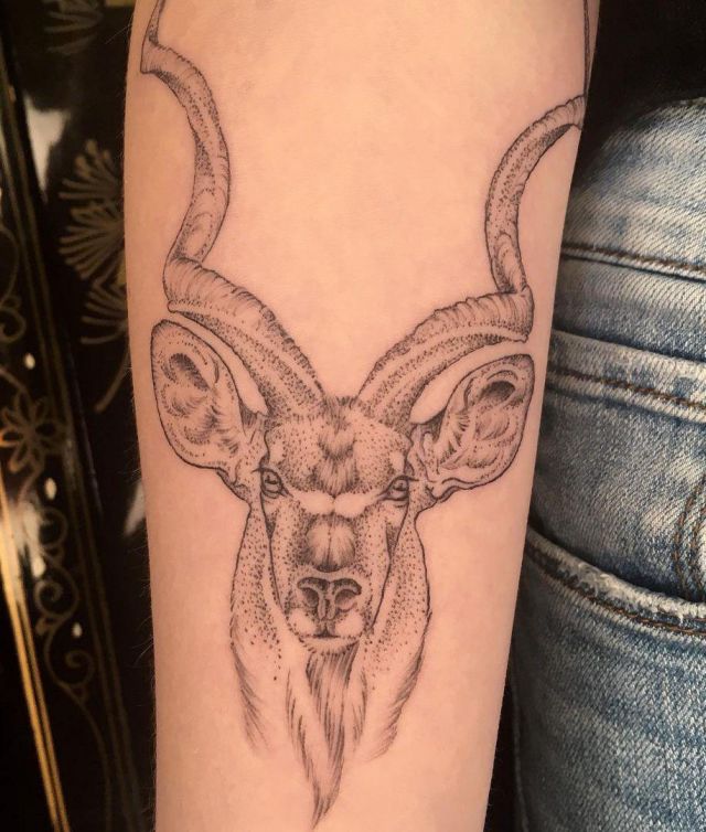 20 Unique Antelope Tattoos Make You Different